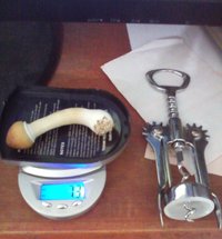 décima colheita - 7,1 g frescas.jpg