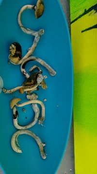 IMG_20160814_192219343.jpg
