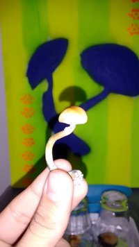 IMG_20160814_192308860.jpg