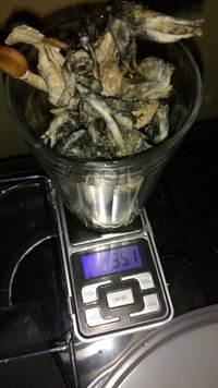 IMG_20160809_200725269.jpg