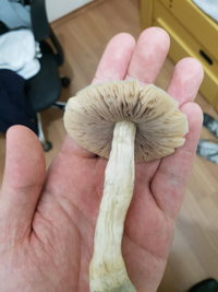 20160815_202037.jpg