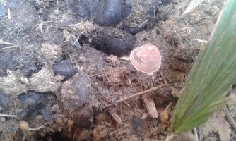 20160817_104345.jpg