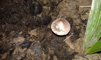 20160817_193334.jpg