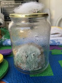 bolo 3 contaminado.jpg