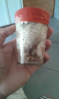 IMG-20160819-WA0028.jpeg