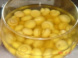cultivo de cogumelos comestíveis pela técnica jun-cao_16.jpg