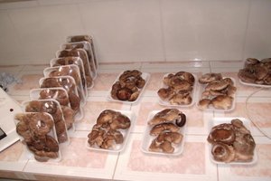 cultivo de cogumelos comestíveis pela técnica jun-cao_15.jpg