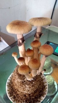 IMG_20160819_103821.jpg
