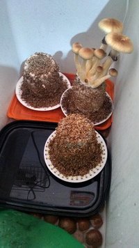 IMG_20160819_104346.jpg