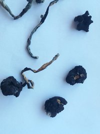 20160820_081313.jpg