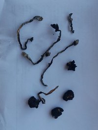 20160820_081258.jpg