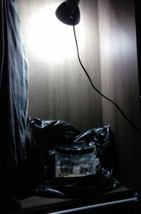 20160819_135651.jpg