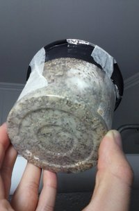 20160812_182153.jpg