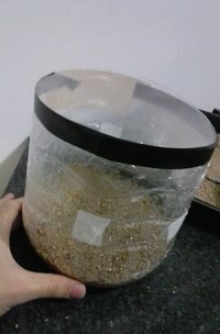 20160813_203755.jpg