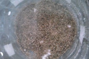20160819_131838.jpg