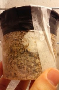 IMG-20160730-WA0002.jpg