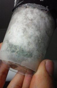 20160812_181815.jpg