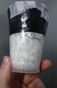 20160812_181505.jpg
