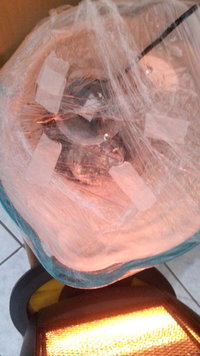 20160820_174846.jpg