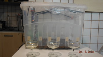 DSCF2678.JPG