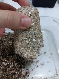 20160824_064302.jpg