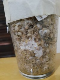 20160825_103841.jpg