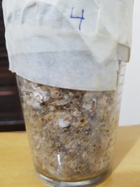 20160825_104114.jpg