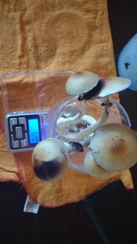 IMG_20160821_151623880.jpg