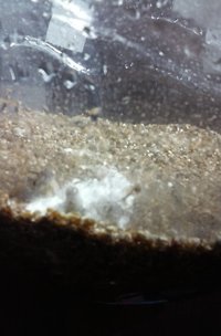 20160827_210423.jpg