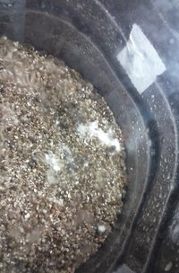 20160827_210352.jpg