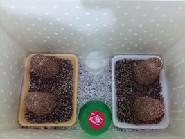 20160829_061044.jpg