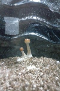 IMG-20160829-WA0002.jpg