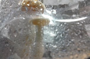 20160829_231437.jpg
