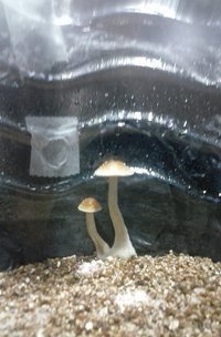 20160829_171907.jpg