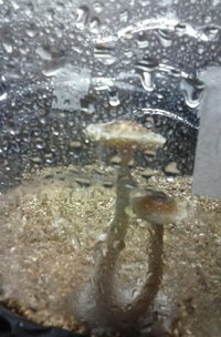 20160829_231552.jpg