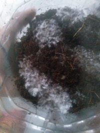 CAM00220.jpg