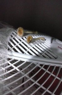 20160830_081917.jpg
