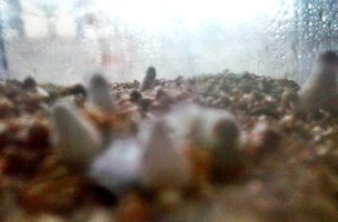 20160831_095132.jpg