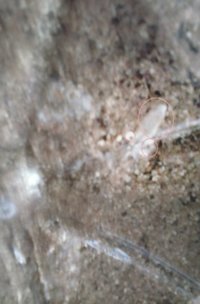 20160831_095212.jpg