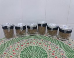 00b - dia 3 - sem sinal de micélio em nenhum copo - verso.jpg