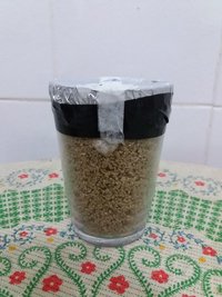 01a - copo 4 - micélio visível em 5 dias.jpg
