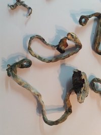 20160831_183408.jpg