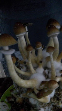 20160903_082537.jpg