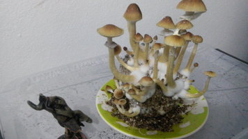20160903_150741.jpg