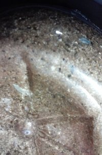 20160903_182332.jpg