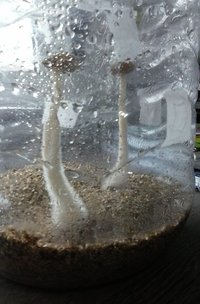 20160903_154944.jpg