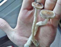 20160903_161437.jpg