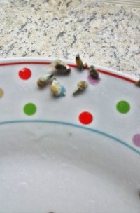 20160903_161341.jpg