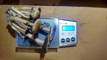 IMG_20160820_011439.jpg