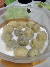 IMG_20160824_024404.jpg